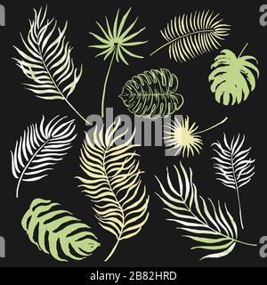 Satz handbemalter Palmblätter. Ideal für Dekor, Muster und Grußkarten. Stock Vektor