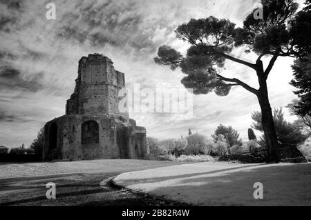 Infrarot-, Monochrom- oder Schwarzweiß-Bild des römischen Turms oder Tour Magne (c3rd BC) Nimes Gard France Stockfoto