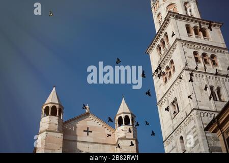 Kirchturm der Kathedrale mit Tauben im Flug in Modena, Italien Stockfoto