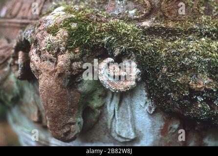 Moss wächst über einer Steinskulptur eines Widderkopfes in Tresco Gardens auf den Scilly-Inseln, Cornwall, England Stockfoto