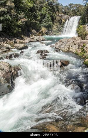 Blick auf die Tawhai Falls, in der Nähe von Turangi, North Island, Neuseeland Stockfoto