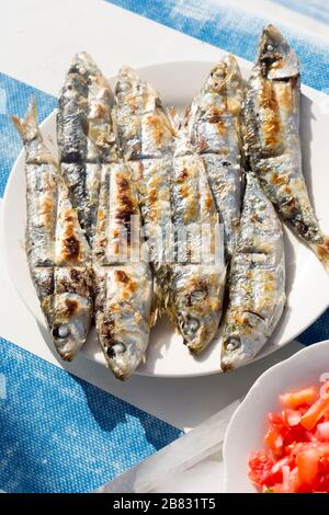 Gegrillte Sardinen mit marokkanischem Tomatensalat Stockfoto