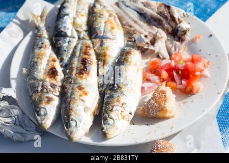 Gegrillte Sardinen mit marokkanischem Tomatensalat Stockfoto