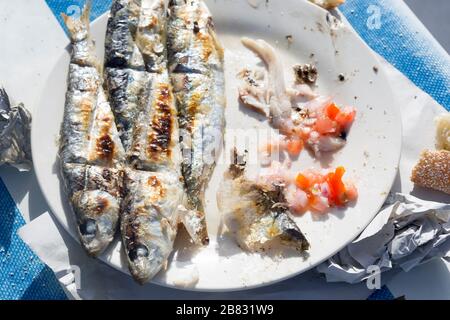 Gegrillte Sardinen mit marokkanischem Tomatensalat Stockfoto