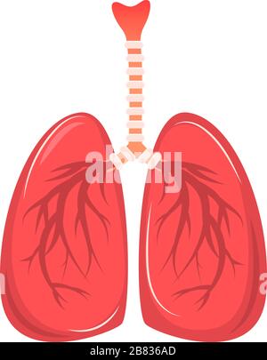 Cartoon menschliche Lunge isoliert auf einem weißen Hintergrund. Vektorgrafiken in flacher Ausführung Stock Vektor