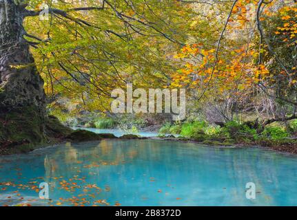 Herbstwald und türkisfarbener See. Navarra, Spanien. Stockfoto