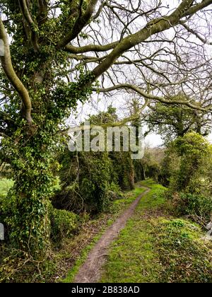 Mystische und uralte Grim, Graben, 7000 Jahre alter Weg und Erdarbeiten, Teil des Ridgeway, NR Nufield, Oxfordshire, England, Großbritannien, GB. Stockfoto