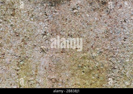 Ein Teil der Steinmauer ist schimmelig. Abstrakter Hintergrund Stockfoto