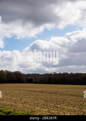 CHILTERN Hills, Chiltern Hills AONB, Chilterns, Landscape NR Nuffield, Oxfordshire, England, Großbritannien, GB. Stockfoto