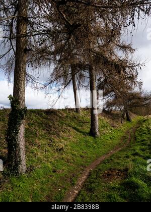 Oxfordshire Landscape, The Ridgeway Nation Trail, Chiltern Hills, Nufield, Oxfordshire, England, Großbritannien, GB. Stockfoto