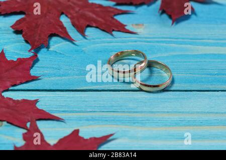 Zwei Hochzeitsringe liegen auf einem blauen Holztisch. Rote Ahorn-Herbstblätter. Hochzeitskarte Stockfoto