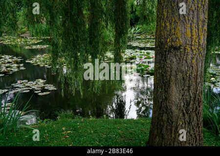 Seerosen im Seerosenteich im Garten von Claud Monets Haus in Giverny.France Stockfoto