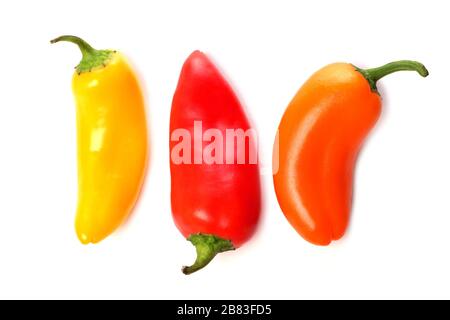 Drei süße Mini-Paprika, gelb, rot und orange isoliert auf weißem Hintergrund Stockfoto