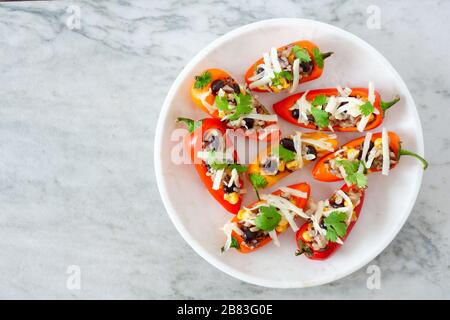 Teller mit gesunden gefüllten Mini-Paprika mit wildem Reis, Käse, Bohnen, Mais und Cilantro. Draufsicht auf hellem Hintergrund. Stockfoto