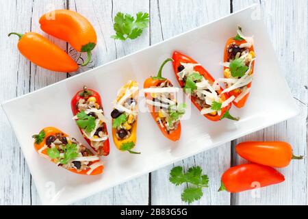 Gefüllte Mini-Paprika mit Wildreis, Käse, Bohnen, Mais und Cilantro. Über der Ansicht auf einer weißen Platte und einem hellen Hintergrund. Stockfoto