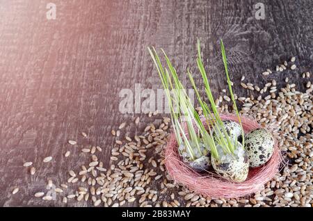 Gesprochenes Weizenkorn in einer Eierschale und einem Nest Stockfoto