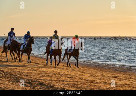 Pferderennen am Strand von Sanlúcar de Barrameda. Provinz Cádiz, Andalusien, Spanien, Europa August 2019 Stockfoto