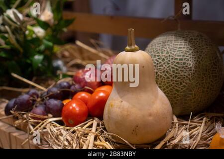 Verschiedene Arten tropischer Früchte werden auf verschiedene Weise platziert. Stockfoto
