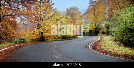 Herbstwald. Urbasa, Navarra. Spanien Stockfoto