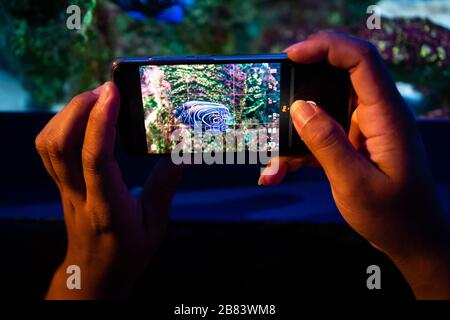 Fantastischer Moment im Korallenriffaquarium Stockfoto