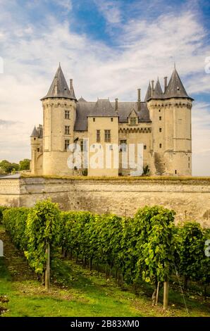 Saumur Chateau mit Blick auf den Fluss und das Tal der Loire-Region. Stockfoto