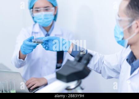 Zusammenarbeit von Forschern im Labor für alternative Energieforschung Stockfoto
