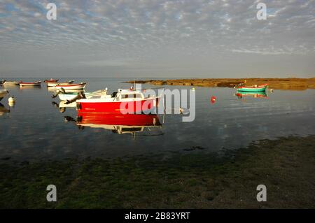 Kleines rotes Fischerboot auf dem Meer - Bretagne - Finistere Stockfoto