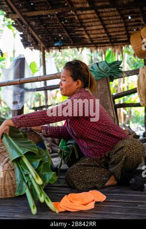 Eine Frau verpackt Reisnudeln. Angkor Wat, Siem Reap, Kambodscha. Stockfoto