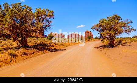 Ein paar Bäume entlang der Gravel Road, die sich um die Red Sandstone Buttes und Mesas in der Desert Landscape of Monument Valley schlängeln Stockfoto