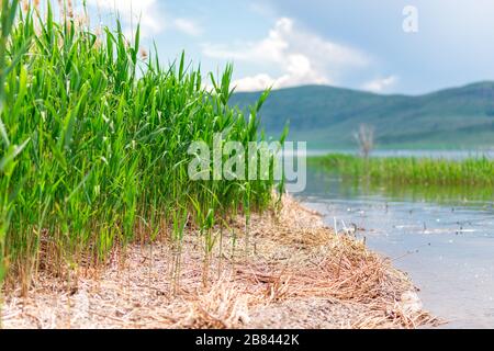 Meereslandschaft mit Bergen und Kannen, blauer Himmel mit Wolken, wolkenlos ohne Sonne, kasachstan Stockfoto