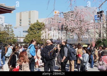 Tokio, Japan. März 2020. Sightseeners besuchen Tokios beliebten Touristenort Asakusa am Donnerstag, 19. März 2020. Die Zahl der ausländischen Besucher in Japan sank im Februar um 58 Prozent, teilte die Japan National Tourism Organization (JNTO) am 19. März mit. Credit: Yoshio Tsunoda/AFLO/Alamy Live News Stockfoto