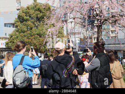 Tokio, Japan. März 2020. Sightseeners besuchen Tokios beliebten Touristenort Asakusa am Donnerstag, 19. März 2020. Die Zahl der ausländischen Besucher in Japan sank im Februar um 58 Prozent, teilte die Japan National Tourism Organization (JNTO) am 19. März mit. Credit: Yoshio Tsunoda/AFLO/Alamy Live News Stockfoto