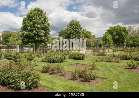 Öffentlicher Park mit Rosen in Boise Idaho. Stockfoto