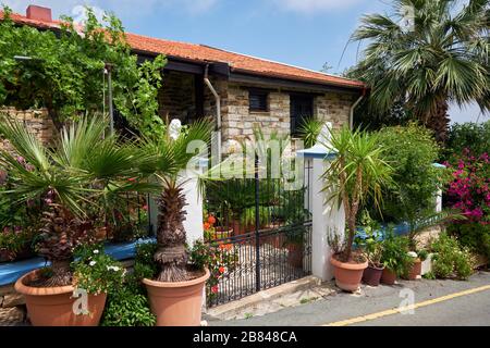 Der Blick auf den schönen Garten mit Palmen in der Nähe des traditionellen weißen Steinhauses im Dorf Pano Lefkara. Zypern Stockfoto