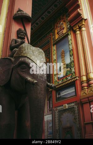 Patrika Elefant Stockfoto