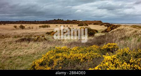 Die Coast Guard Cottages Dunwich Heath Stockfoto