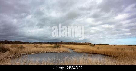 Die Coast Guard Cottages Dunwich Heath Stockfoto