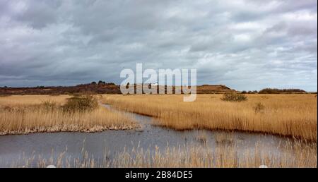 Die Coast Guard Cottages Dunwich Heath Stockfoto