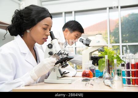 Zwei Wissenschaftler arbeiten im Labor. Junge Forscherinnen und ihre leitende Führungskraft untersuchen Laborgeräte. Stockfoto