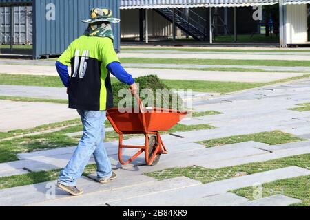 Arbeiter im Arbeitsgärtner, Landwirte sind Trolley mit Rollkarren mit Grasrolle für Dekoration Gartenboden, Gras-Rolle auf Trolley-Handwagen-Rad, Arbeit Stockfoto