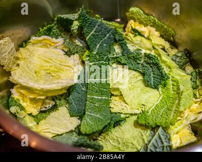 10 Nahaufnahme des geschredderten grünen savoyenkohl, der in einem Edelstahlkälchen abgewaschen wird Stockfoto