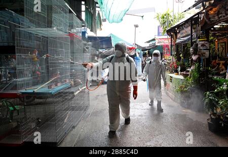 Bangkok, Thailand. März 2020. Thailändische Beamte sprühen Desinfektionsmittel auf dem Tiermarkt während einer Vorsichtsmaßnahme gegen den Ausbruch des Coronavirus Covid-19 in Bangkok am 20. März 2020. Gesamtzahl der Todesfälle infolge der wachsenden Pandemie bei 10.030. Die Zahl der Infizierten weltweit nähert sich mit den meisten Fällen in China 245.000, gefolgt von Italien und dem Iran, nach seinen Angaben. Kredit: Urdee Image/ZUMA Wire/Alamy Live News Stockfoto