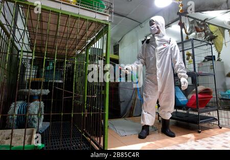 Bangkok, Thailand. März 2020. Thailändische Beamte sprühen Desinfektionsmittel auf dem Tiermarkt während einer Vorsichtsmaßnahme gegen den Ausbruch des Coronavirus Covid-19 in Bangkok am 20. März 2020. Gesamtzahl der Todesfälle infolge der wachsenden Pandemie bei 10.030. Die Zahl der Infizierten weltweit nähert sich mit den meisten Fällen in China 245.000, gefolgt von Italien und dem Iran, nach seinen Angaben. Kredit: Urdee Image/ZUMA Wire/Alamy Live News Stockfoto