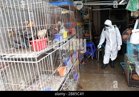 Bangkok, Thailand. März 2020. Thailändische Beamte sprühen Desinfektionsmittel auf dem Tiermarkt während einer Vorsichtsmaßnahme gegen den Ausbruch des Coronavirus Covid-19 in Bangkok am 20. März 2020. Gesamtzahl der Todesfälle infolge der wachsenden Pandemie bei 10.030. Die Zahl der Infizierten weltweit nähert sich mit den meisten Fällen in China 245.000, gefolgt von Italien und dem Iran, nach seinen Angaben. Kredit: Urdee Image/ZUMA Wire/Alamy Live News Stockfoto