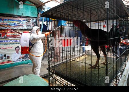 Bangkok, Thailand. März 2020. Thailändische Beamte sprühen Desinfektionsmittel auf dem Tiermarkt während einer Vorsichtsmaßnahme gegen den Ausbruch des Coronavirus Covid-19 in Bangkok am 20. März 2020. Gesamtzahl der Todesfälle infolge der wachsenden Pandemie bei 10.030. Die Zahl der Infizierten weltweit nähert sich mit den meisten Fällen in China 245.000, gefolgt von Italien und dem Iran, nach seinen Angaben. Kredit: Urdee Image/ZUMA Wire/Alamy Live News Stockfoto