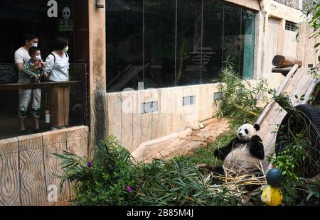 Haikou, Chinas Provinz Hainan. März 2020. Touristen sehen den riesigen Panda "Gong Gong" im Hainan Tropical Wildlife Park und Botanischen Garten in Haikou, Südchinas Provinz Hainan, am 20. März 2020. Der Park wurde am Freitag wieder für die Öffentlichkeit geöffnet. Credit: Yang Guanyu/Xinhua/Alamy Live News Stockfoto