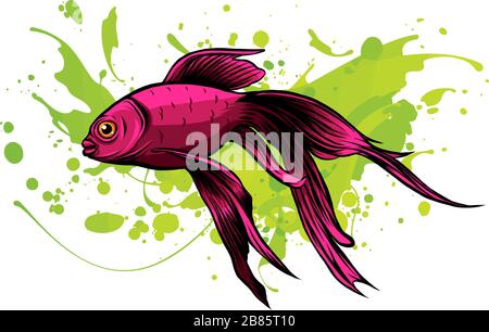 Red Drum, Rotbarsch. Vector Illustration mit raffinierten Details Stock Vektor