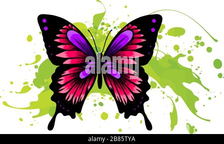 Dekorativer Wasserfarben-Grunge-Schmetterling für Ihr Design. Vektorgrafiken, handgezeichneter Schmetterling mit Flecken und Farbtropfen. Stock Vektor