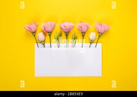 Blumenbanner mit Kopierbereich. Rosa Eustoma-Blumen-Anordnung mit leerer Karte auf gelbem Hintergrund. Draufsicht Stockfoto