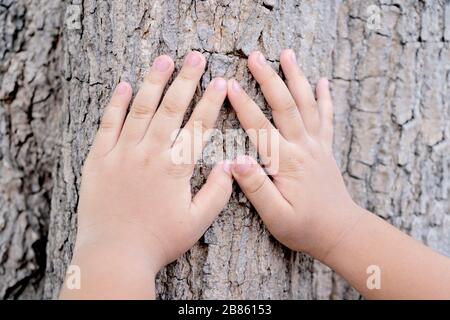 Die Hand des Kindes berührt den Baum, Bark mit gemusterter Oberfläche. Sie wurde in der Liebe zur Natur geboren, die die Pflege der Welt ist. Stockfoto